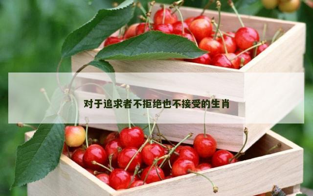 对于追求者不拒绝也不接受的生肖