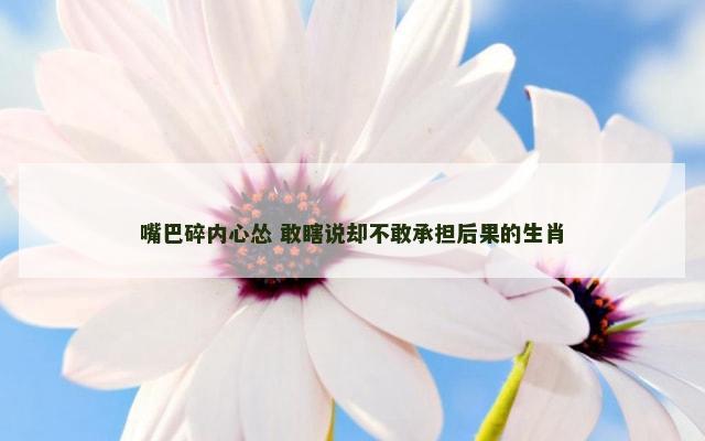 嘴巴碎内心怂 敢瞎说却不敢承担后果的生肖