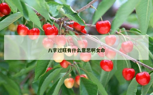 八字过旺有什么意思啊女命