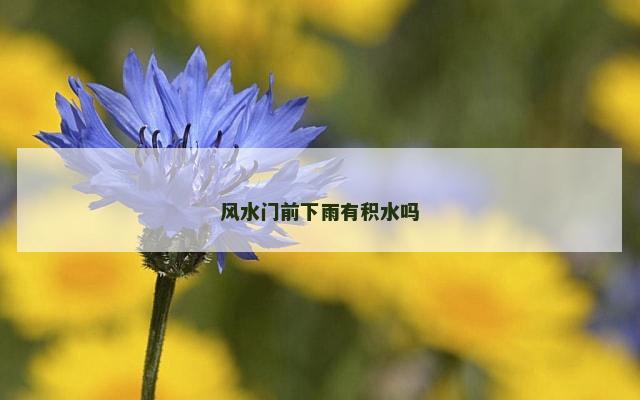 风水门前下雨有积水吗