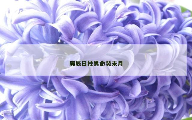 庚辰日柱男命癸未月