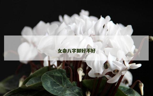女命八字脚好不好