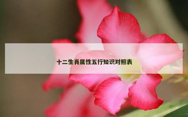 十二生肖属性五行知识对照表
