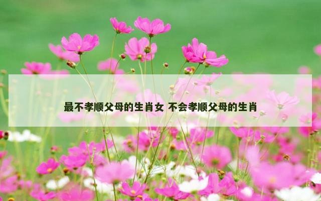 最不孝顺父母的生肖女 不会孝顺父母的生肖