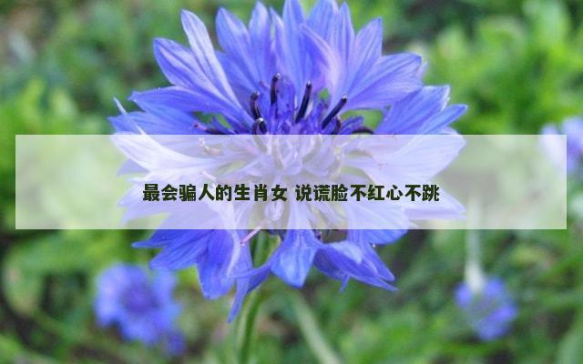 最会骗人的生肖女 说谎脸不红心不跳