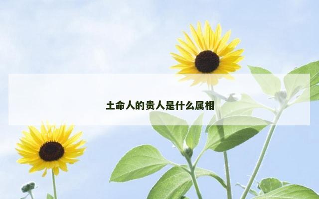 土命人的贵人是什么属相