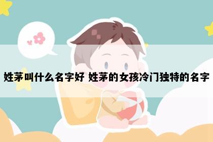 姓茅叫什么名字好 姓茅的女孩冷门独特的名字