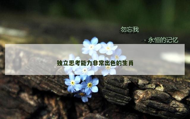 独立思考能力非常出色的生肖