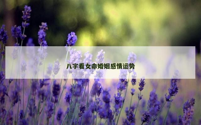 八字看女命婚姻感情运势