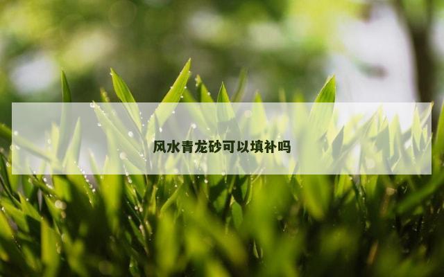 风水青龙砂可以填补吗