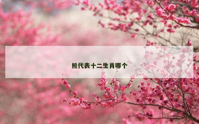 熊代表十二生肖哪个