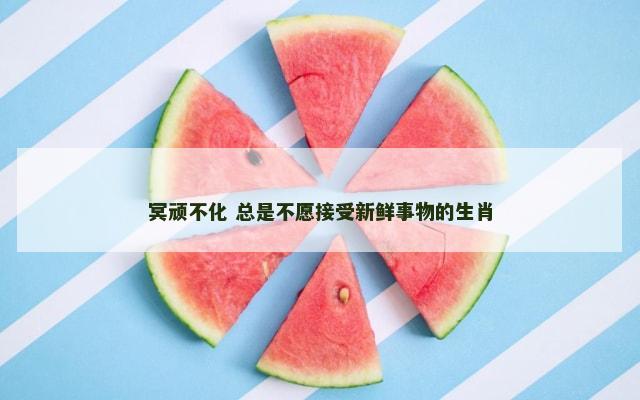 冥顽不化 总是不愿接受新鲜事物的生肖
