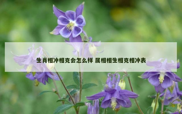 生肖相冲相克会怎么样 属相相生相克相冲表