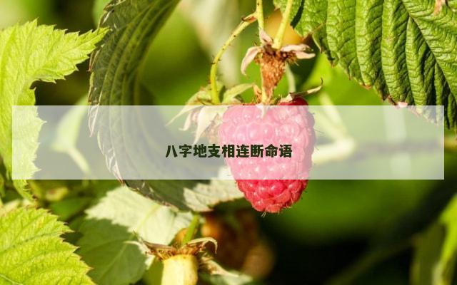 八字地支相连断命语
