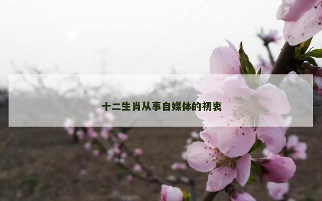 十二生肖从事自媒体的初衷