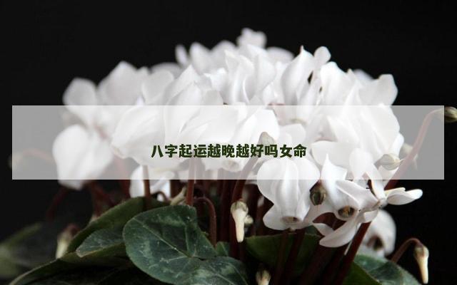 八字起运越晚越好吗女命