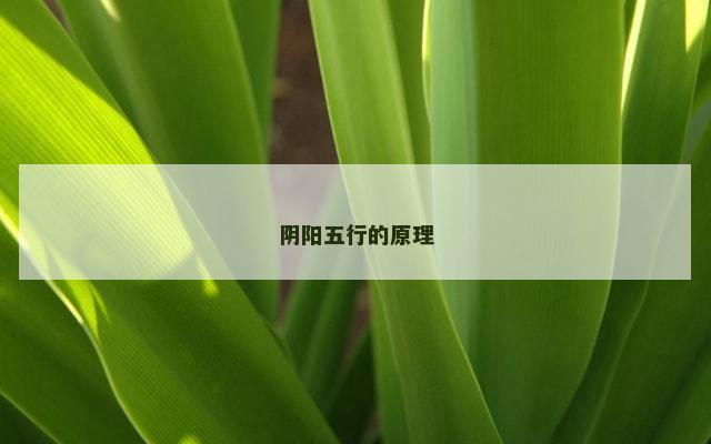 阴阳五行的原理