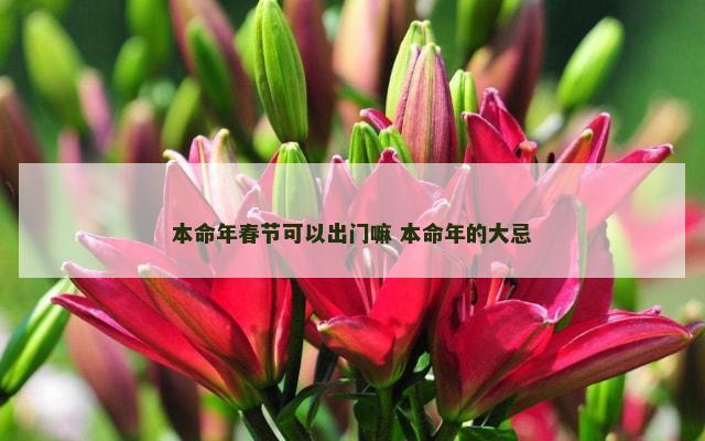 本命年春节可以出门嘛 本命年的大忌