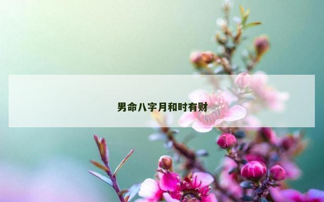 男命八字月和时有财