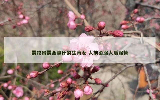 最狡猾最会算计的生肖女 人前柔弱人后强势