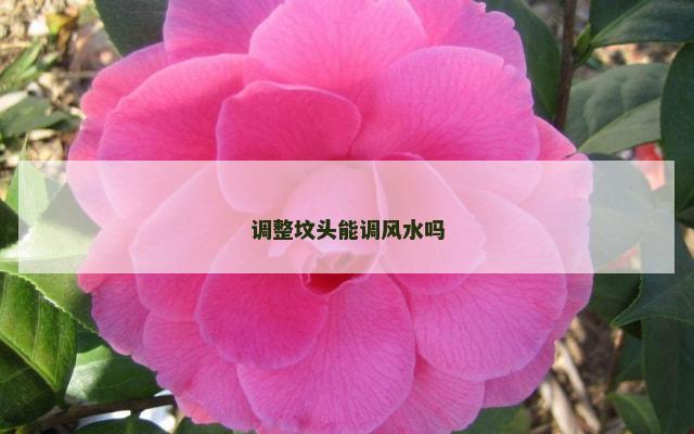 调整坟头能调风水吗