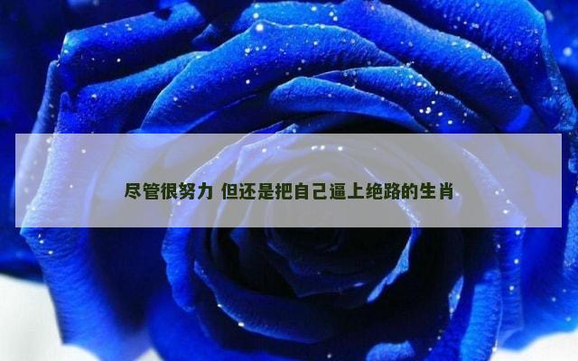 尽管很努力 但还是把自己逼上绝路的生肖