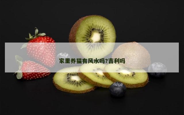 家里养猫有风水吗?吉利吗