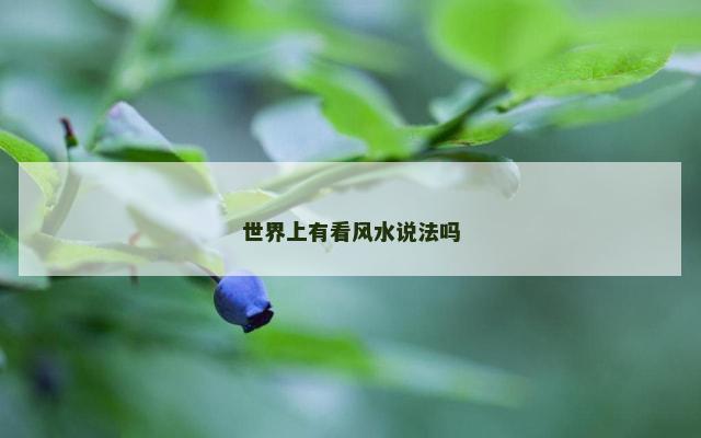 世界上有看风水说法吗