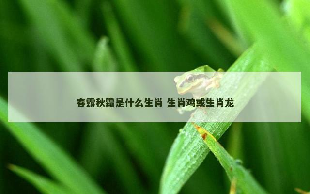 春露秋霜是什么生肖 生肖鸡或生肖龙