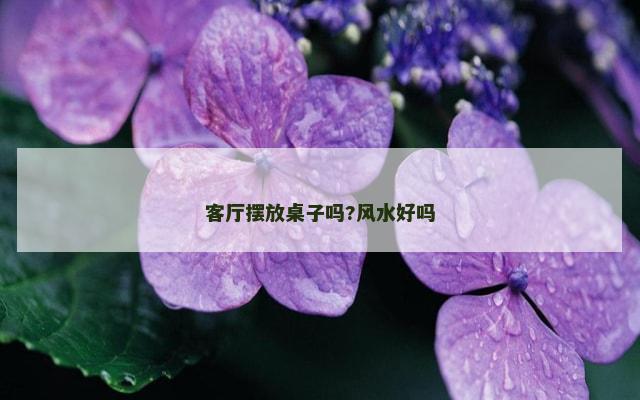 客厅摆放桌子吗?风水好吗