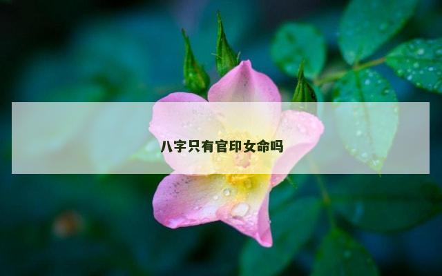 八字只有官印女命吗