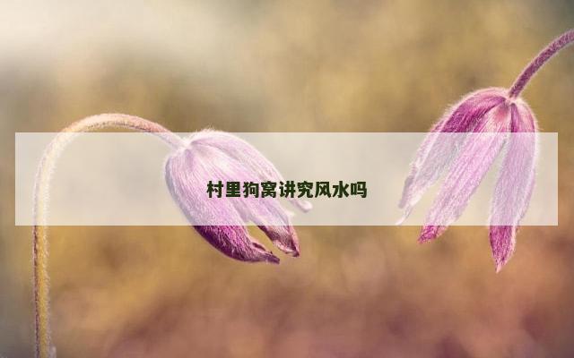 村里狗窝讲究风水吗