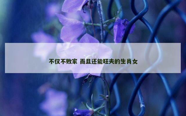 不仅不败家 而且还能旺夫的生肖女