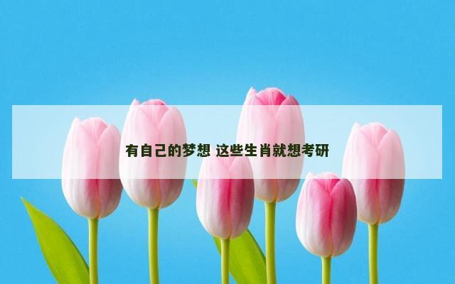 有自己的梦想 这些生肖就想考研