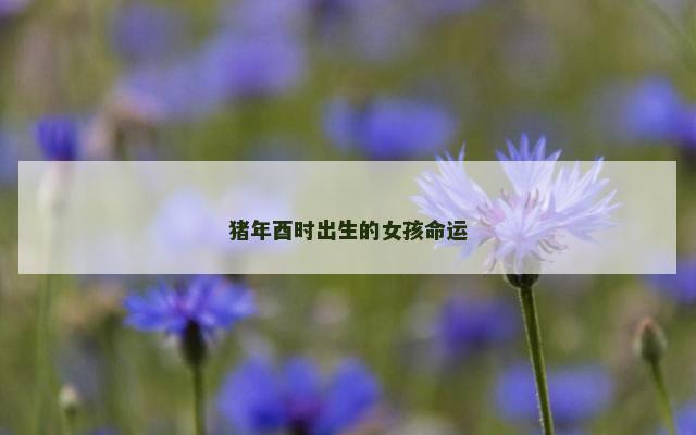 猪年酉时出生的女孩命运