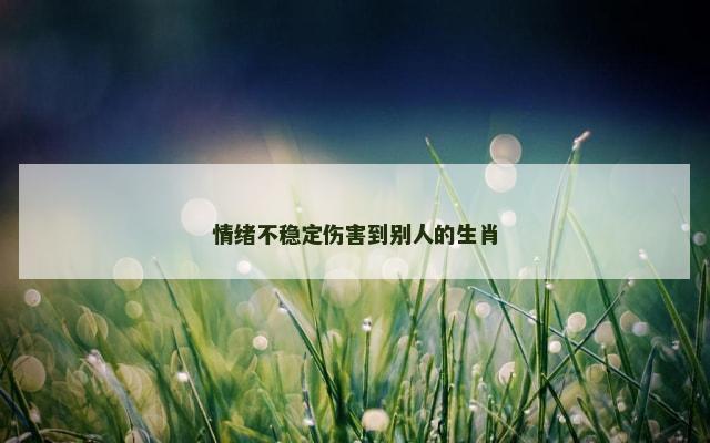 情绪不稳定伤害到别人的生肖