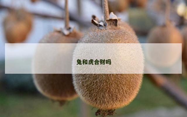 兔和虎合财吗