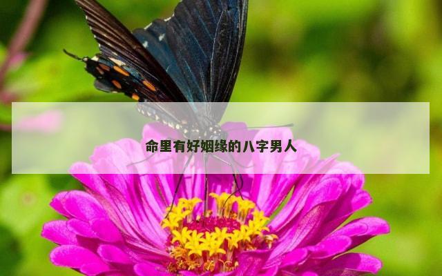 命里有好姻缘的八字男人