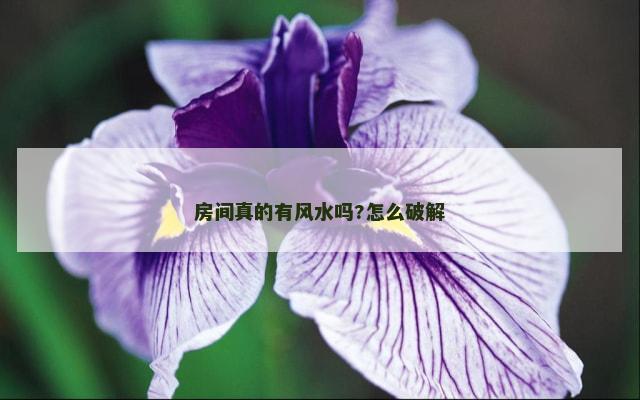 房间真的有风水吗?怎么破解