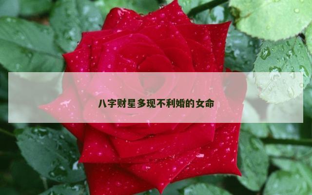 八字财星多现不利婚的女命
