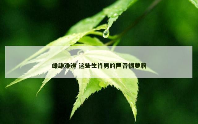 雌雄难辨 这些生肖男的声音很萝莉