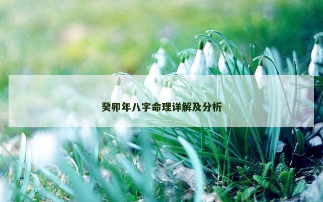 癸卯年八字命理详解及分析