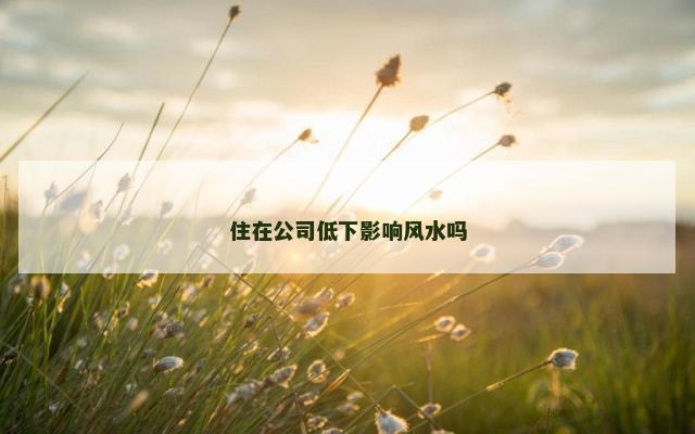 住在公司低下影响风水吗