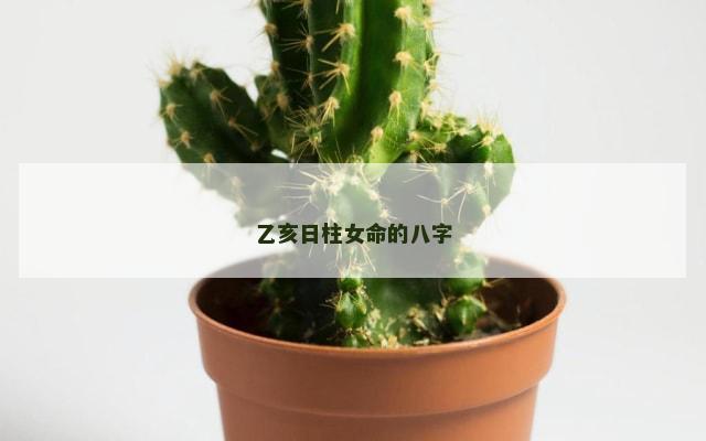 乙亥日柱女命的八字