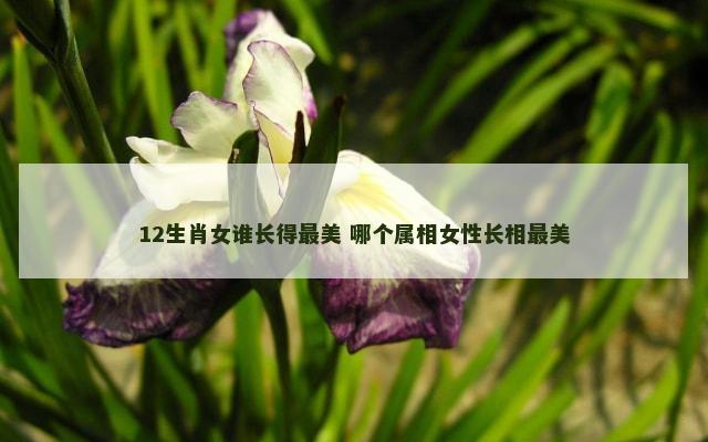 12生肖女谁长得最美 哪个属相女性长相最美
