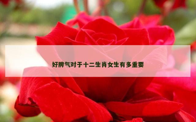 好脾气对于十二生肖女生有多重要