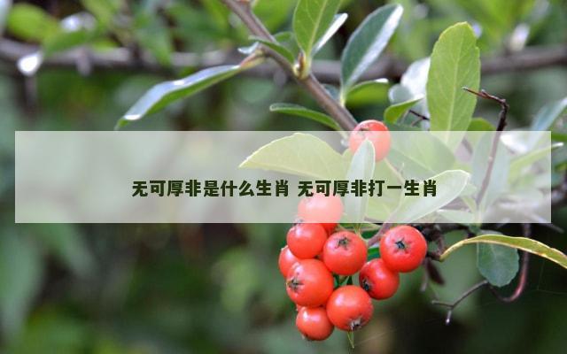 无可厚非是什么生肖 无可厚非打一生肖