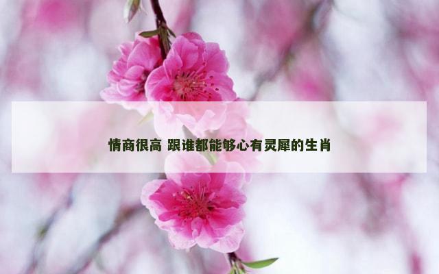 情商很高 跟谁都能够心有灵犀的生肖