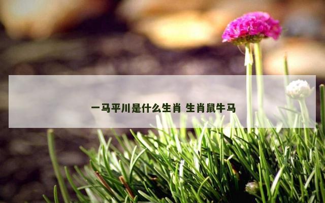 一马平川是什么生肖 生肖鼠牛马