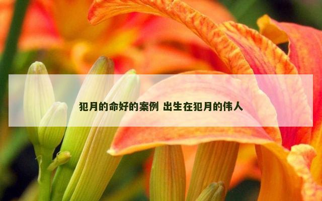 犯月的命好的案例 出生在犯月的伟人